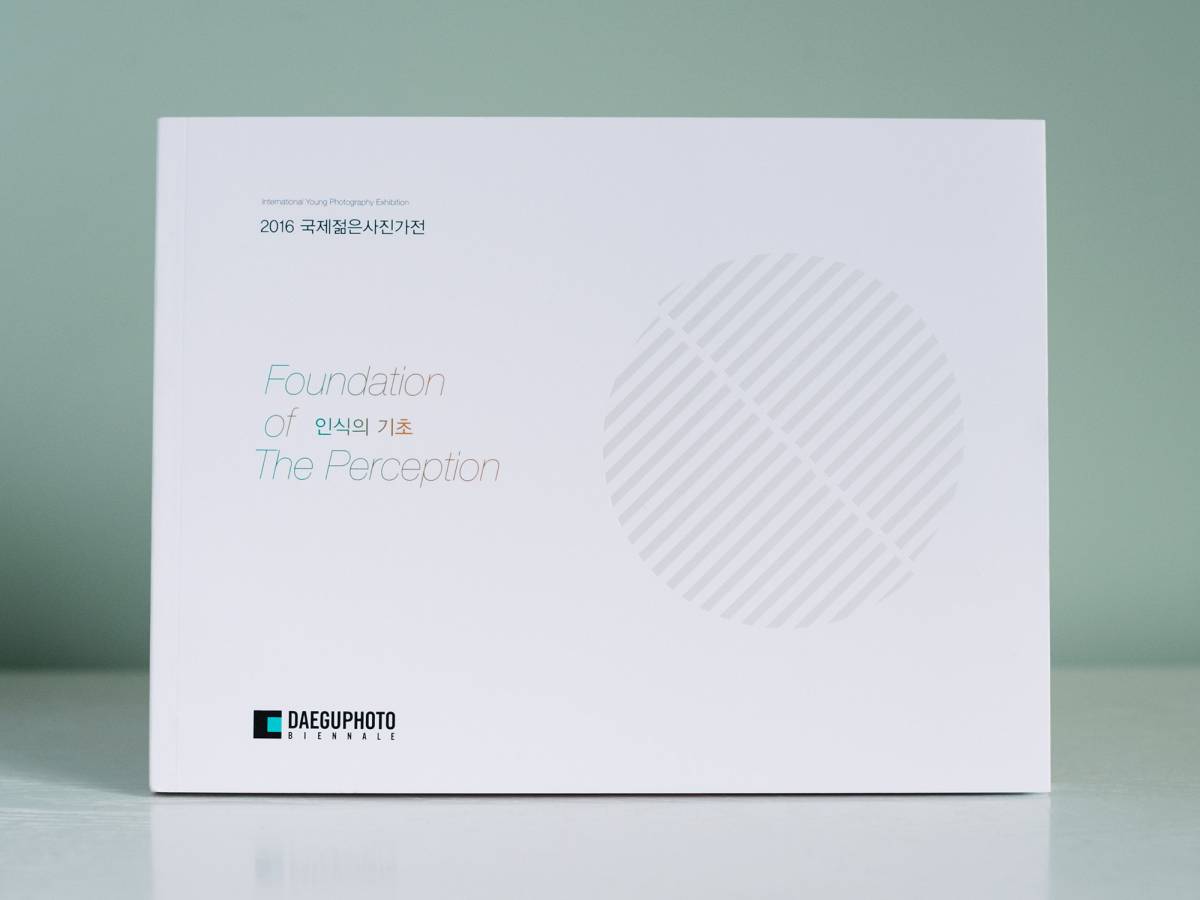 Foundation of the Perception — Daegu Photo Biennale 2017