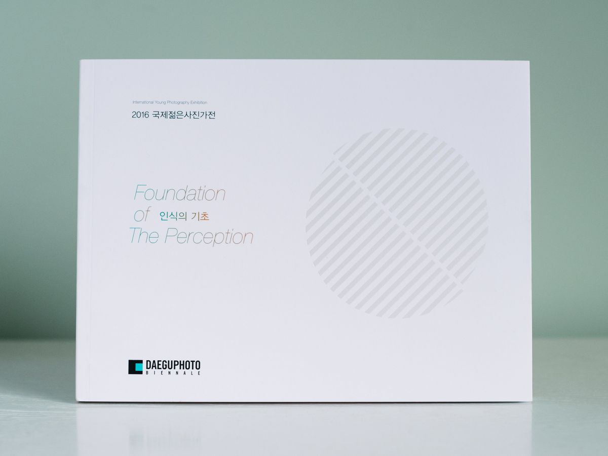 Foundation of the Perception — Daegu Photo Biennale 2017