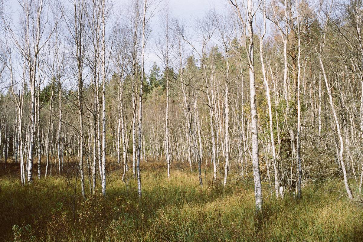 Nord — A story about obsession. Northern Europe, Russia and the sea.