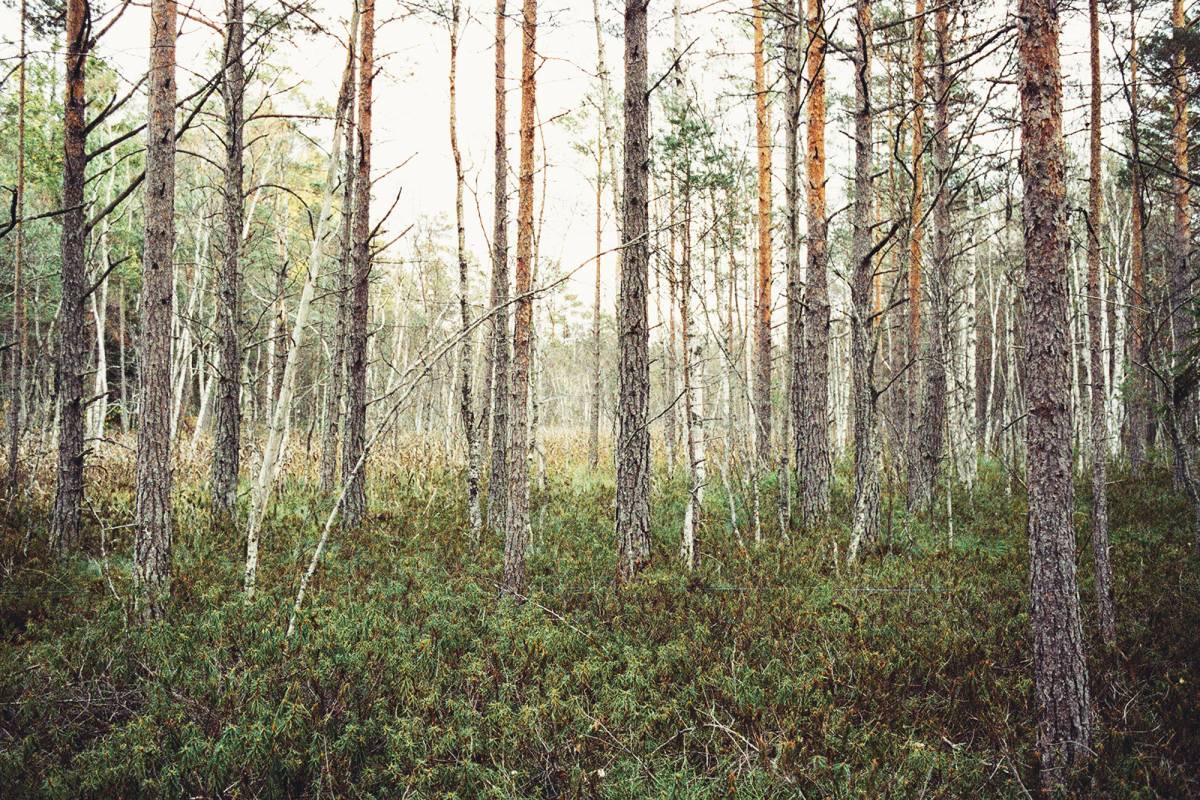 Nord — A story about obsession. Northern Europe, Russia and the sea.